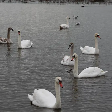 شقة Bienvenue En Baie De Somme